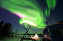 The Best Aurora Tour 