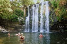 Rio Celeste Hiking, Sloth Sanctuary & Llanos de Cortes Waterfall Tour