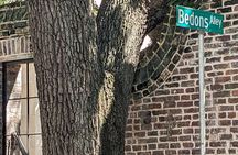 Revolutionary Charleston Walks - Ghost Tour