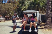 Private Guided Golf Cart Tour of Avalon