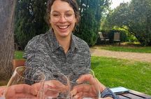 Kelowna Wine Tour by E-bike, Okanagan Valley Views and Lunch