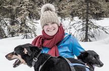 Dog Sledding - Subarctic Wilderness Tour