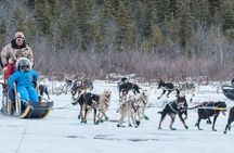 Dog Sledding - Subarctic Wilderness Tour