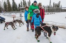 Dog Sledding - Subarctic Wilderness Tour