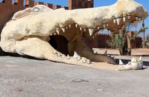 Agadir Day Trip from Marrakech: Atlantic Views & Local Sights