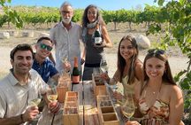 Cava tour to 3 family wineries with hotel pick-up