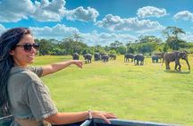 Private 7 Days Sri Lanka Tour with Safari and Cultural sites