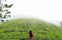 Private 7 Days Sri Lanka Tour with Safari and Cultural sites