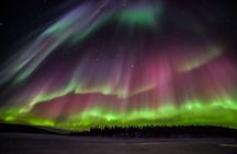 Rovaniemi Aurora Hunting Tour