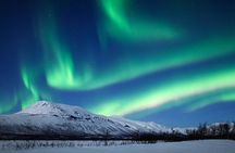 Rovaniemi Aurora Hunting Tour