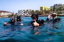 PADI Scuba Diving Courses in Tenerife: All Specialities Until Divemaster