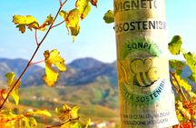 Private Prosecco Tour, with a certified Sommelier 