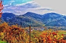 Private Prosecco Tour, with a certified Sommelier 