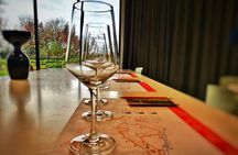 Private Prosecco Tour, with a certified Sommelier 