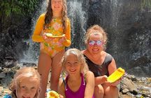 Chocolate Experience, Waterfall and Cultural Lunch in local home.