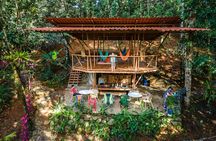 Chocolate Experience, Waterfall and Cultural Lunch in local home.