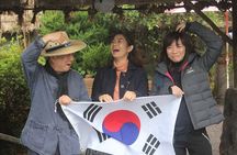 Taste of Jeju: A Culinary Journey Through Traditional Market