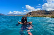 Hawaiian Culture & Snorkel Adventure with Photo/Videos
