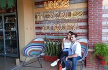 Private Family Tour visitng Mitla, Mezcal Factory, HIerve el Agua