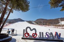 Korea Ski Tour from Seoul - Jisan Forest Resort