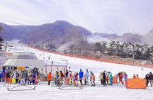 Korea Ski Tour from Seoul - Jisan Forest Resort