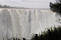 Guided Tour of the Falls