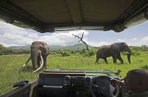 3-Day Victoria Falls Safari with Dinner Cruise