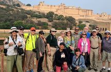 8 Day Golden Triangle Private Tour with Ranthambore National Park