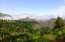 Amazing Anaga