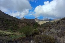Masca from above