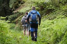 7 Days Guided Mount Kilimanjaro Climb via Rongai Route 