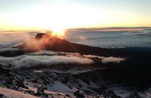 7 Days Guided Mount Kilimanjaro Climb via Rongai Route 