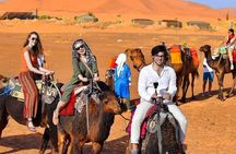 Desert excursion with camel trek into the camp Dinner breakfast 