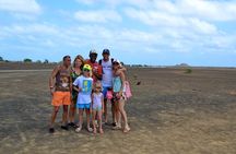 Island Adventure with Shark Experience from Santa Maria