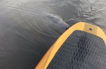 Orlando Manatee and Olde Florida History Adventure Tour