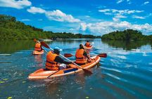 Bali Mangrove Canoeing Tour
