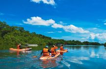 Bali Mangrove Canoeing Tour
