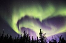 Northern Lights Tour Yellowknife