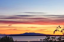 Ultimate Anchorage Winter Wildlife & Sunset Tour