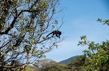 Palo Verde National Park - one day tour in safari wildlife- tour cultural