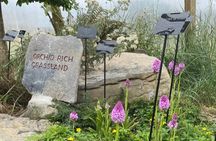 Burren Botany Talk and Walk 