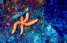 Sailing Boat Tour with Snorkeling in Syracuse