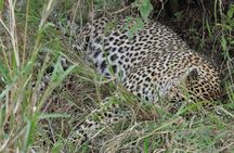 3 Days Masai Mara Wildlife Safari