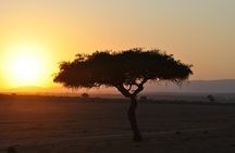 7 Day Classic Kenyan Safari with Unlimited Game Drives