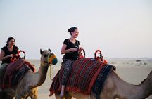 Private Morning Desert Safari 