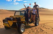 From Lima : Paracas and Huacachina Oasis Full Day Guided Tour