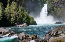 Huilo-Huilo Biological Reserve Full Day Tour