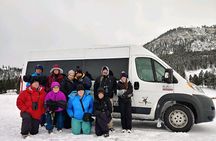 Grand Teton Wildlife Safari in a Enclosed or Open-Air Vehicle (season dependent)