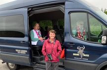 Grand Teton Wildlife and Scenery Tour with Lunch