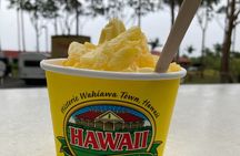 "The Dole Plantation" & "North Shore" Private Limousine VIP Tour!